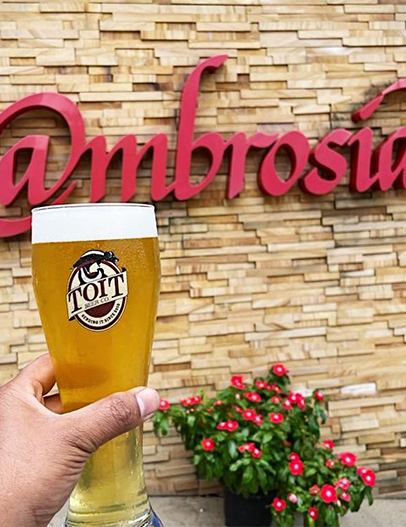 Ambrosia
